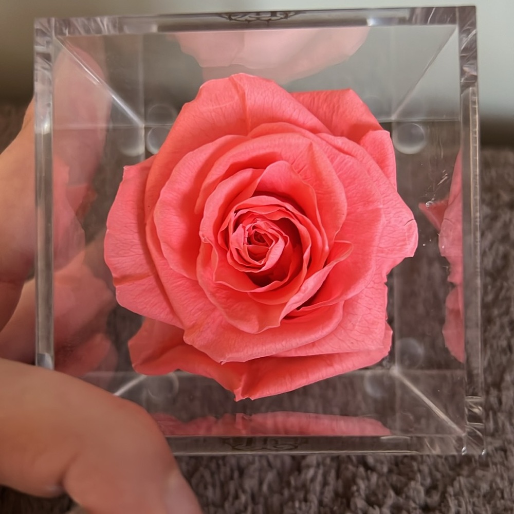 Pink forever rose - Picture 2 of 3